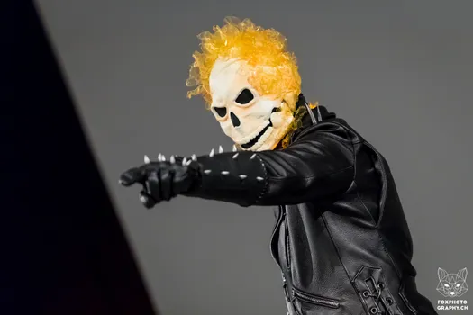 Copyright : Fox Photography